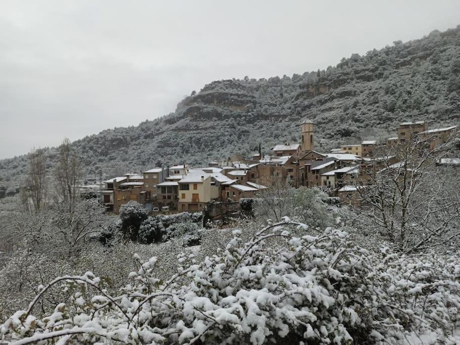 Raco Del Trinquet Villa Arboli Dış mekan fotoğraf